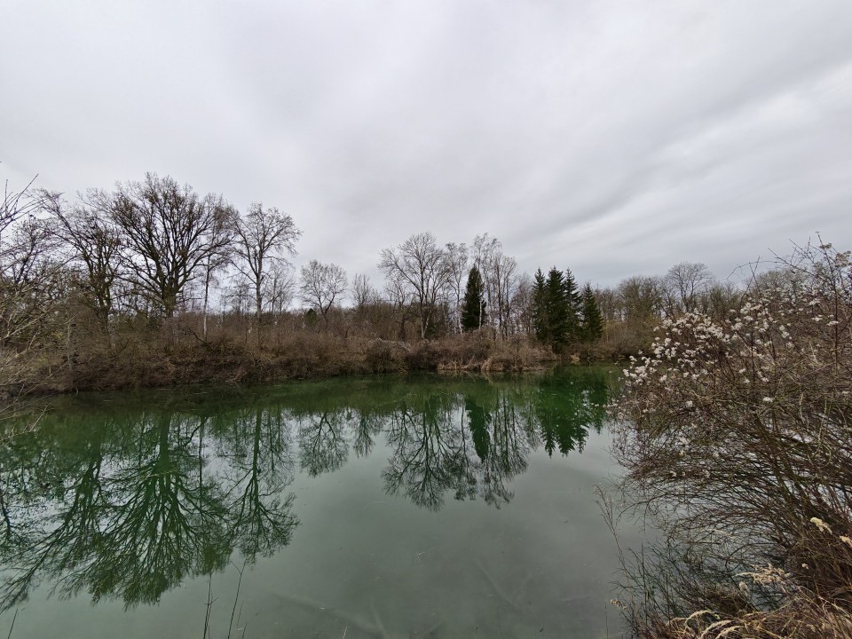 Honor Magic 8 Pro Kamera Ultrawide Tag 50MP