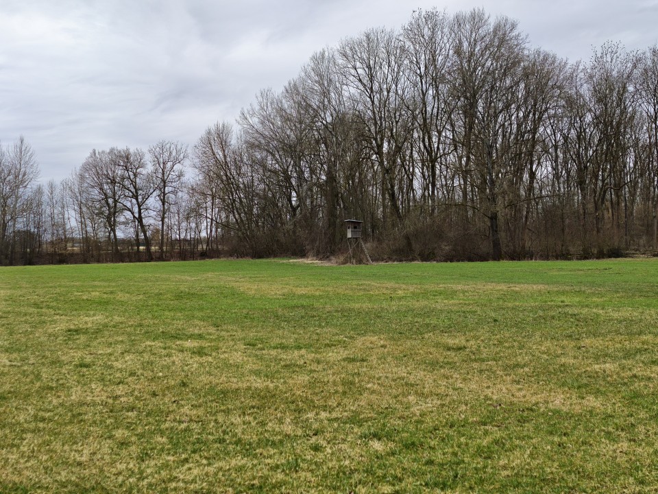 Honor Magic 8 Pro Kamera Haupt Digitalzoom