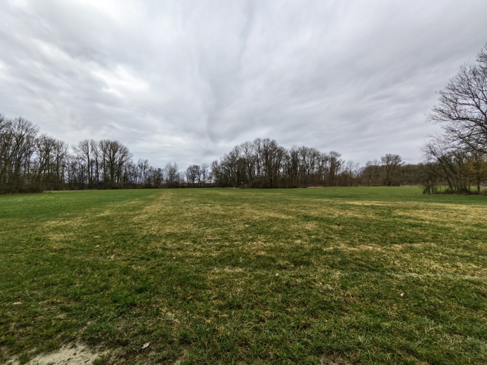 Honor Magic 8 Pro Kamera Ultrawide Tag 12MP