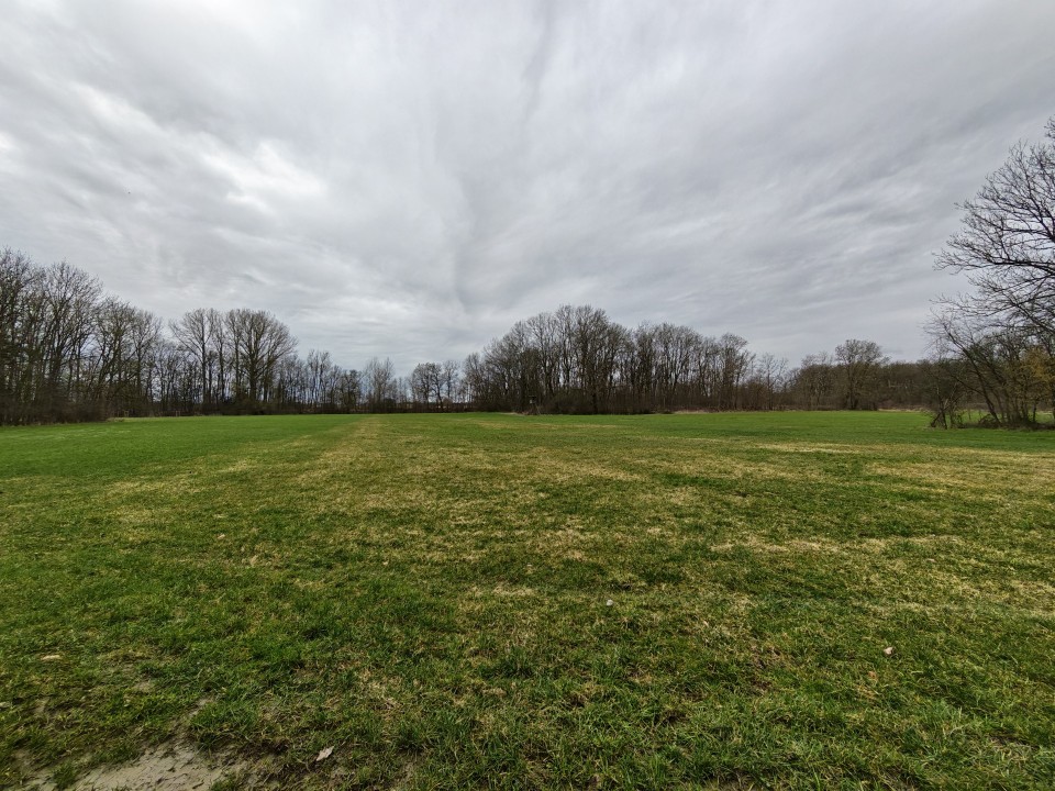 Honor Magic 8 Pro Kamera Ultrawide Tag 50MP