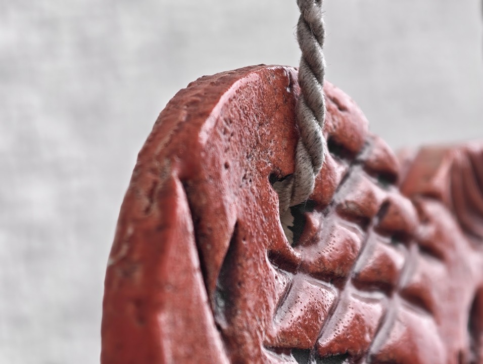 Honor Magic 8 Pro Kamera Makro