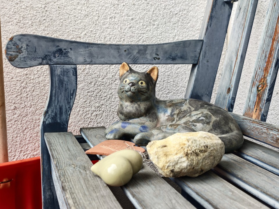 Honor Magic 8 Pro Kamera Haupt Digitalzoom