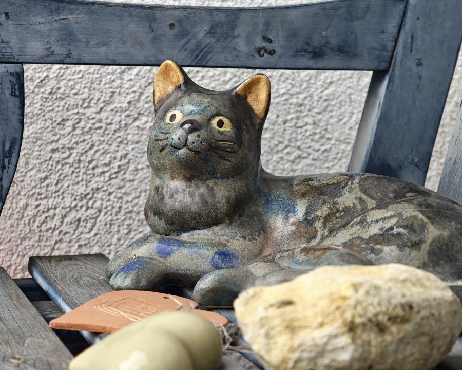 Honor Magic 8 Pro Kamera Portrait