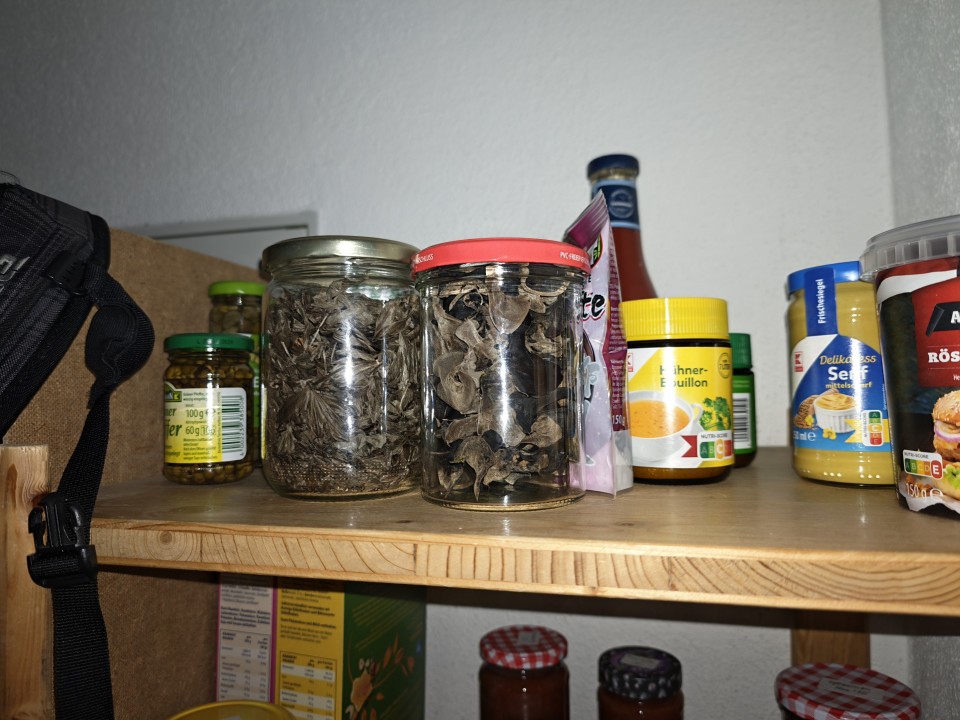 Honor Magic 8 Pro Kamera Haupt Blitz