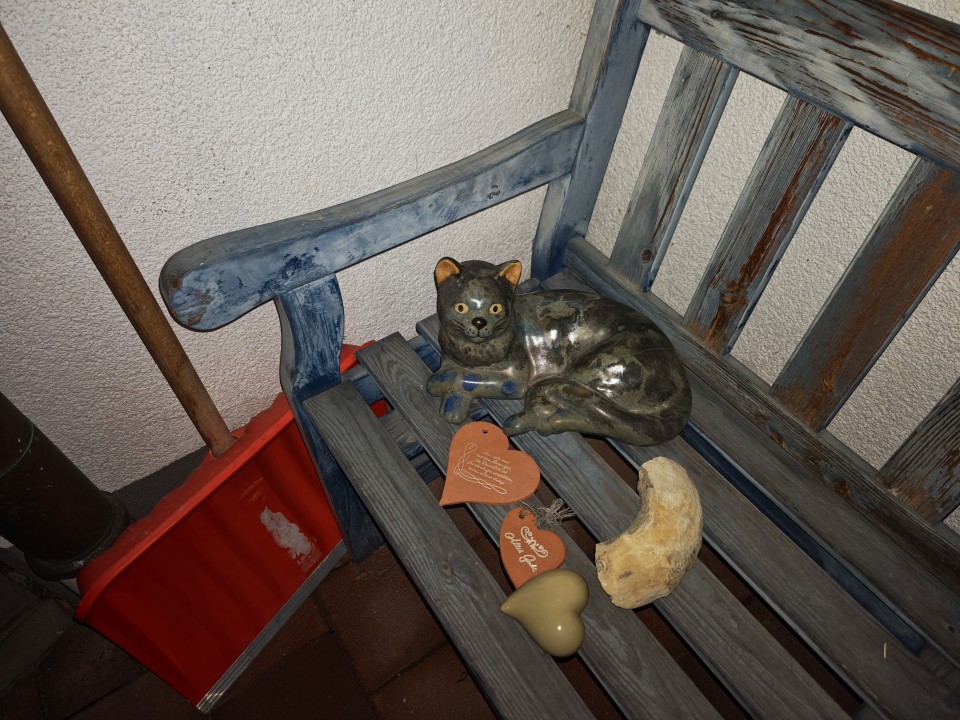 Honor Magic 8 Pro Kamera Haupt Blitz