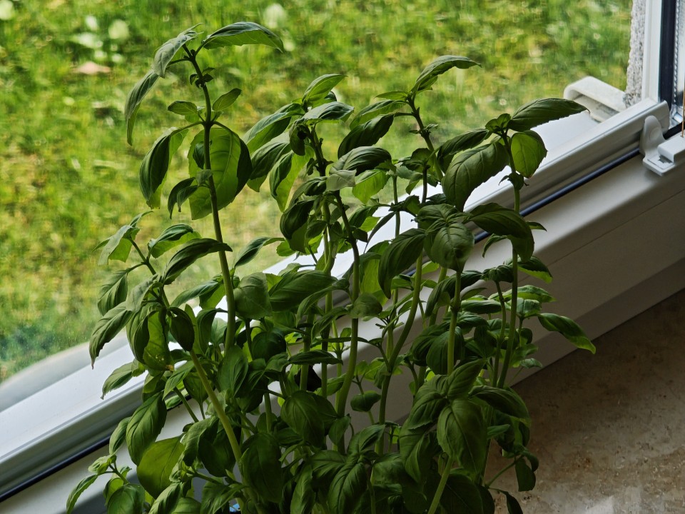 Poco F8 Ultra Kamera Tele Digitalzoom