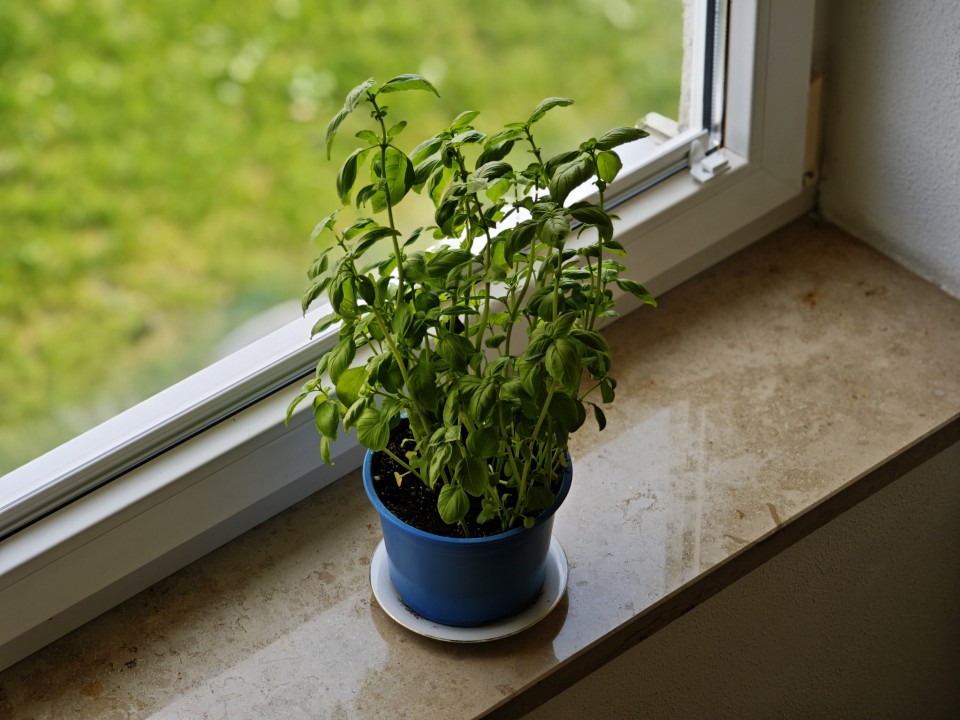 Poco F8 Ultra Kamera Portrait