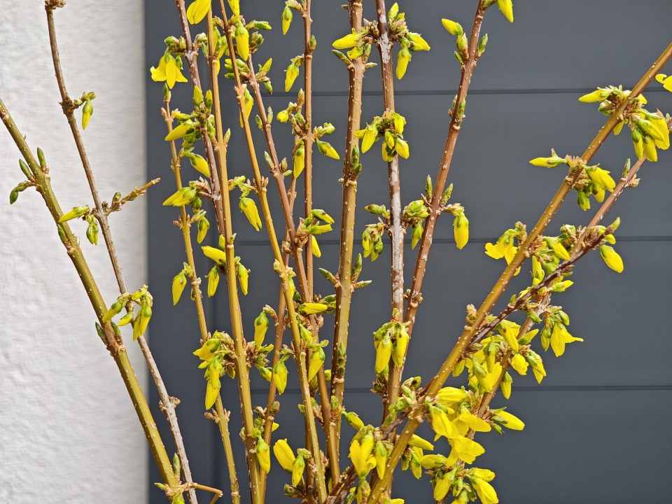 Poco F8 Ultra Kamera Tele 12MP Standard