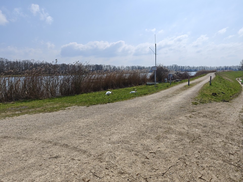 Poco F8 Ultra Kamera Haupt 12MP Standard