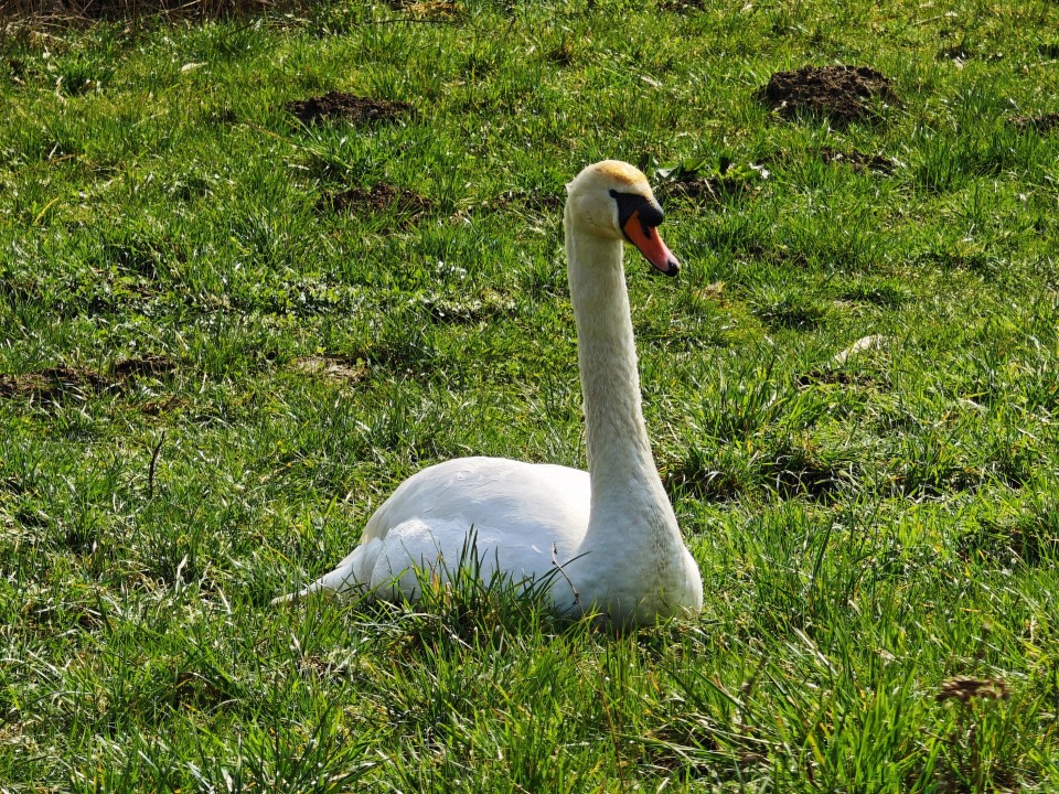 Poco F8 Ultra Kamera Tele Digitalzoom