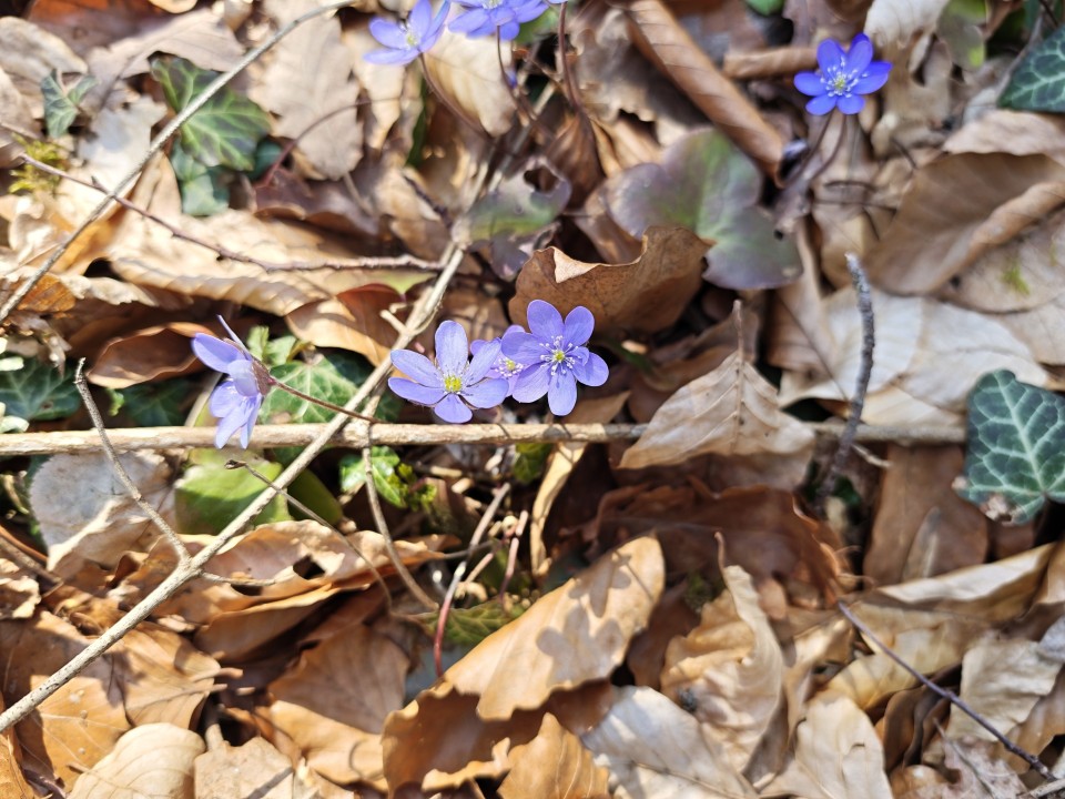 Poco F8 Ultra Kamera Haupt 12MP Standard