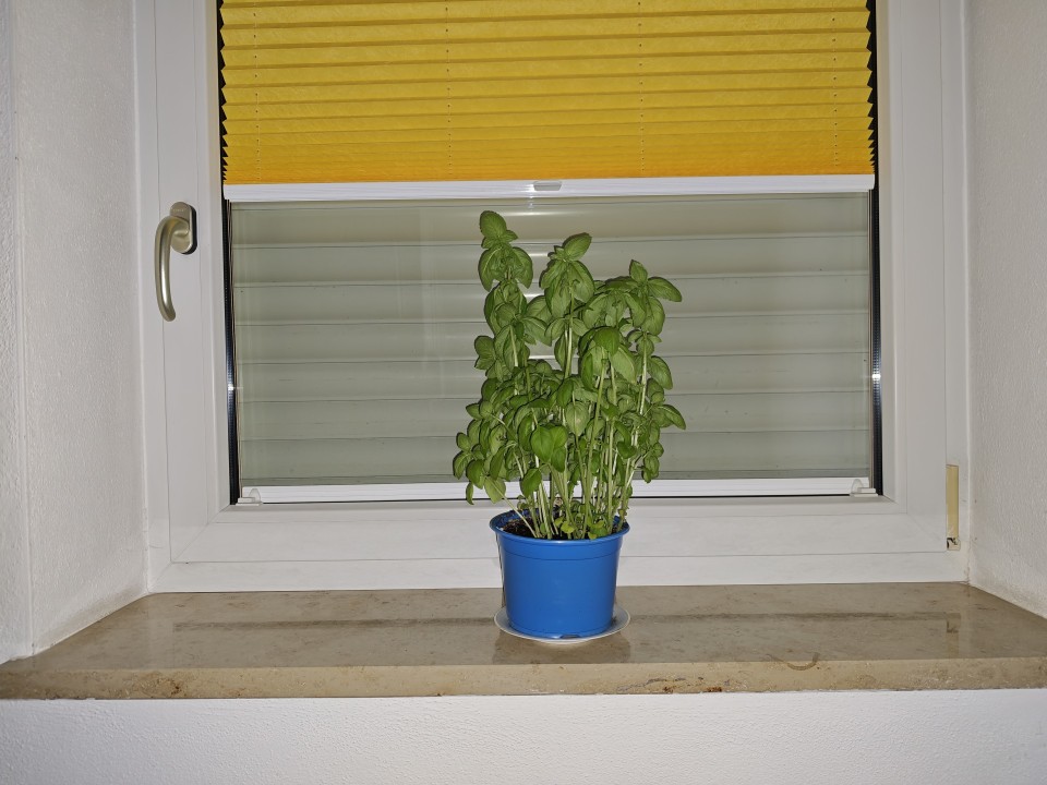 Poco F8 Ultra Kamera Haupt Blitz