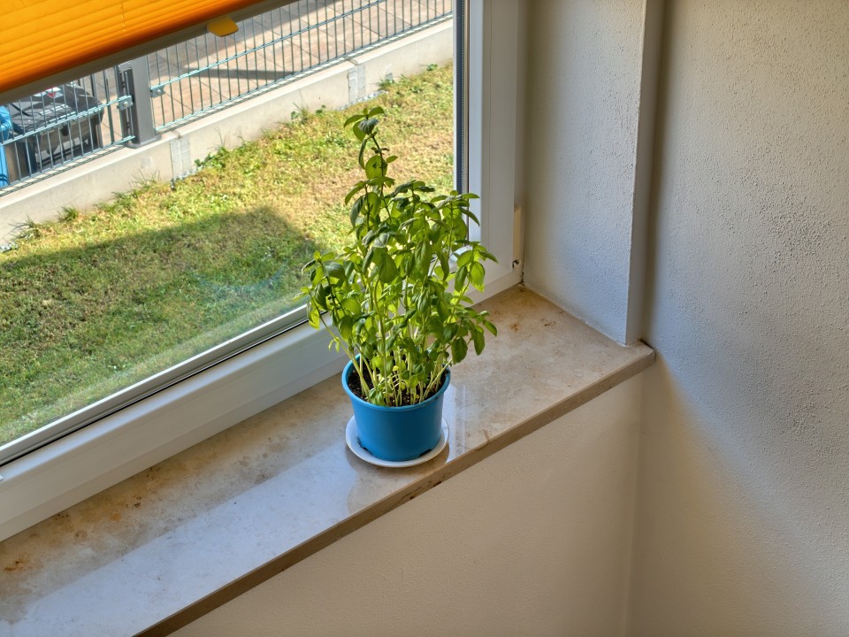 Honor Magic 8 Pro Air Kamera Tele 12MP