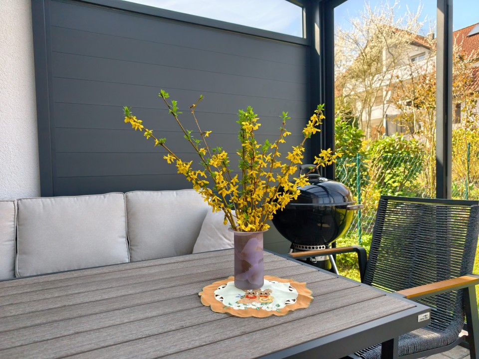 Honor Magic 8 Pro Air Kamera Haupt 12MP