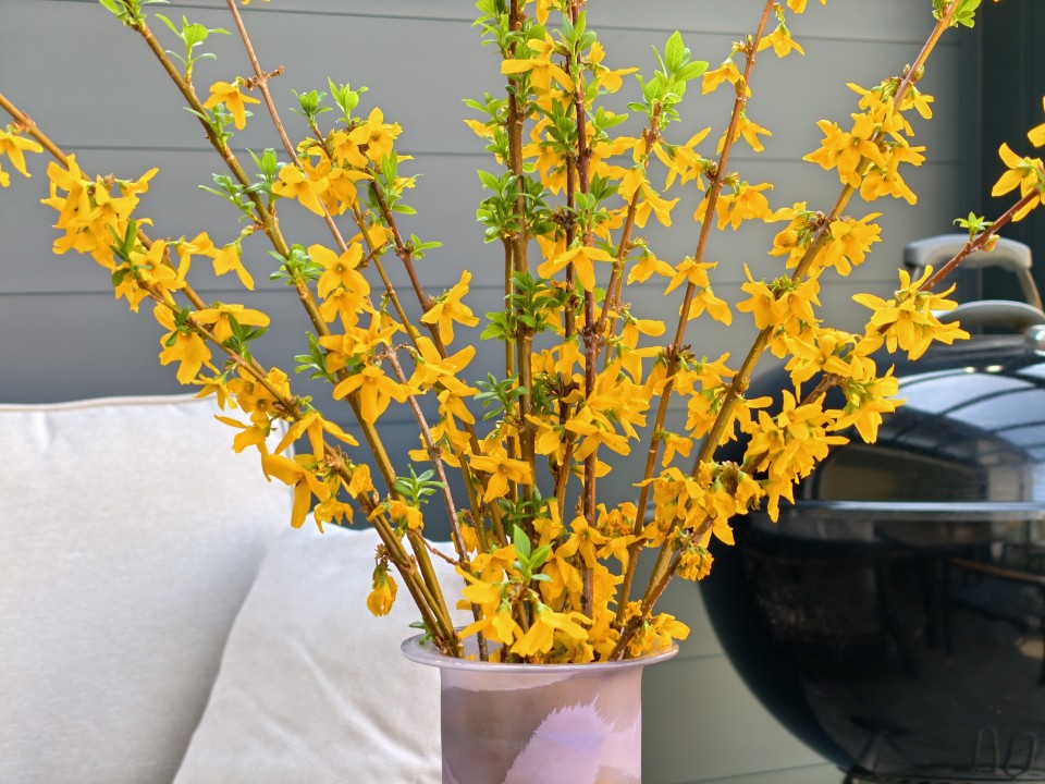 Honor Magic 8 Pro Air Kamera Tele 12MP