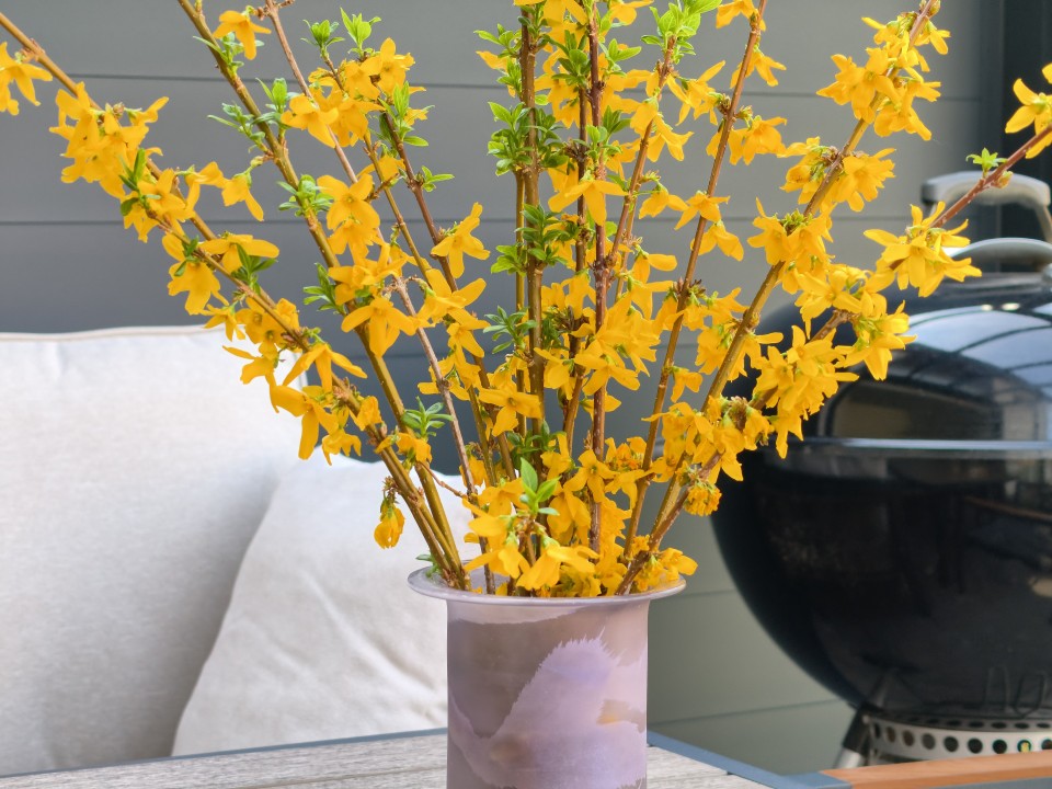 Honor Magic 8 Pro Air Kamera Tele 50MP