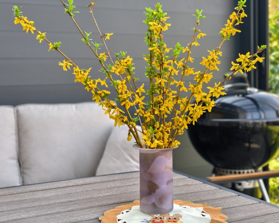 Honor Magic 8 Pro Air Kamera Portrait