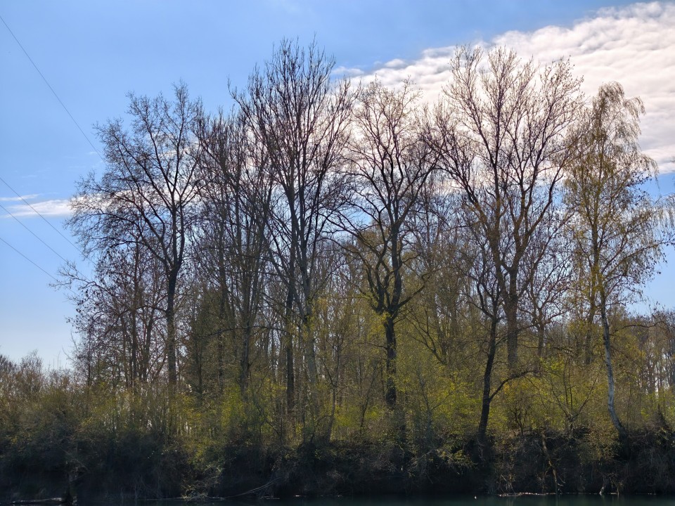 Honor Magic 8 Pro Air Kamera Haupt Digitalzoom