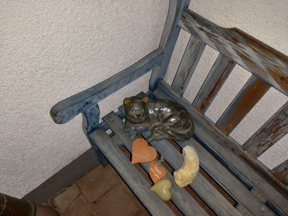 Honor Magic 8 Pro Air Kamera Haupt Blitz