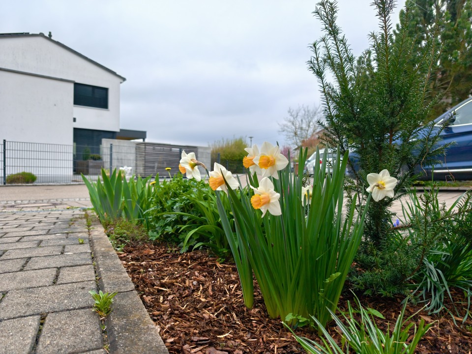 Honor Magic 8 Pro Air Kamera Haupt 12MP