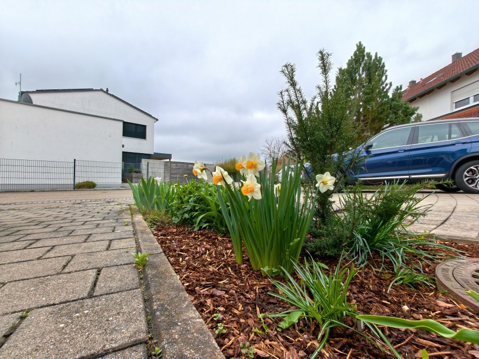 Honor Magic 8 Pro Air Kamera Ultrawide 12MP