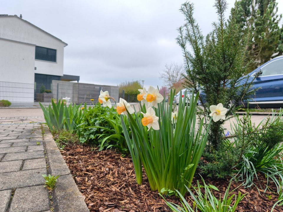 Honor Magic 8 Pro Air Kamera Haupt 50MP