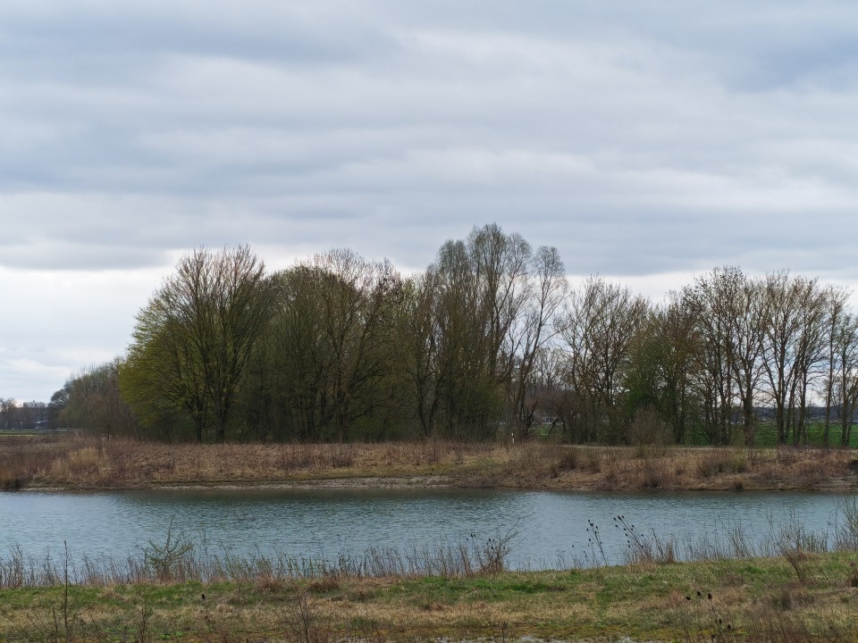 Honor 600 Kamera Haupt 4x Zoom