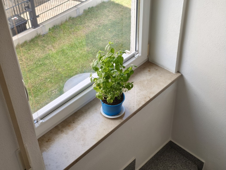 Poco X8 Pro Kamera Haupt Digitalzoom