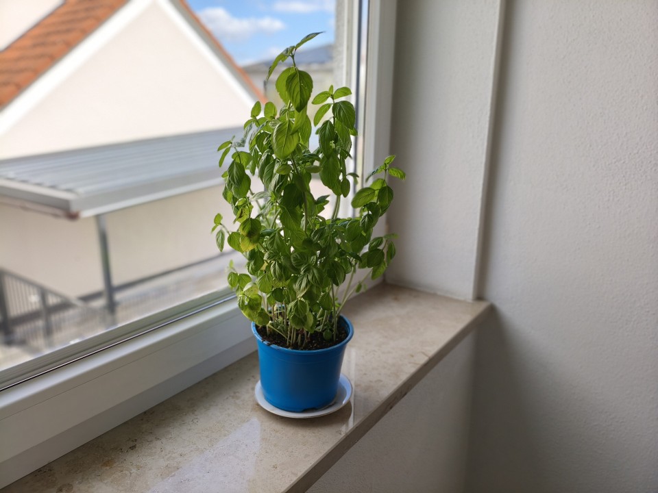 Poco X8 Pro Kamera Portrait