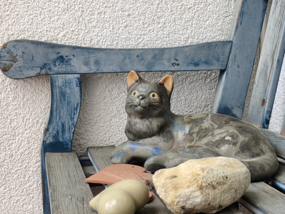 Poco X8 Pro Kamera Haupt Digitalzoom