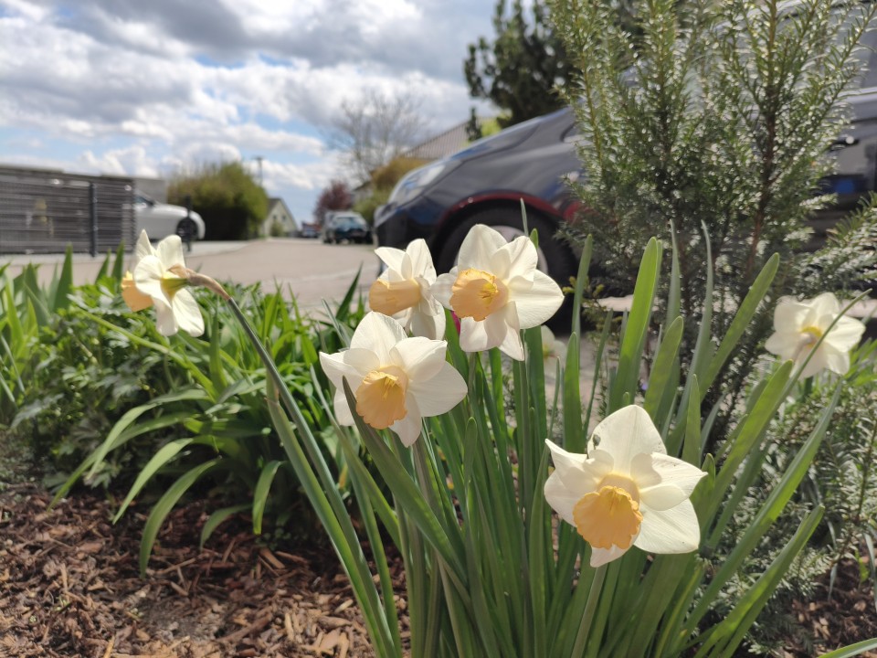 Poco X8 Pro Kamera Haupt Tag 12MP