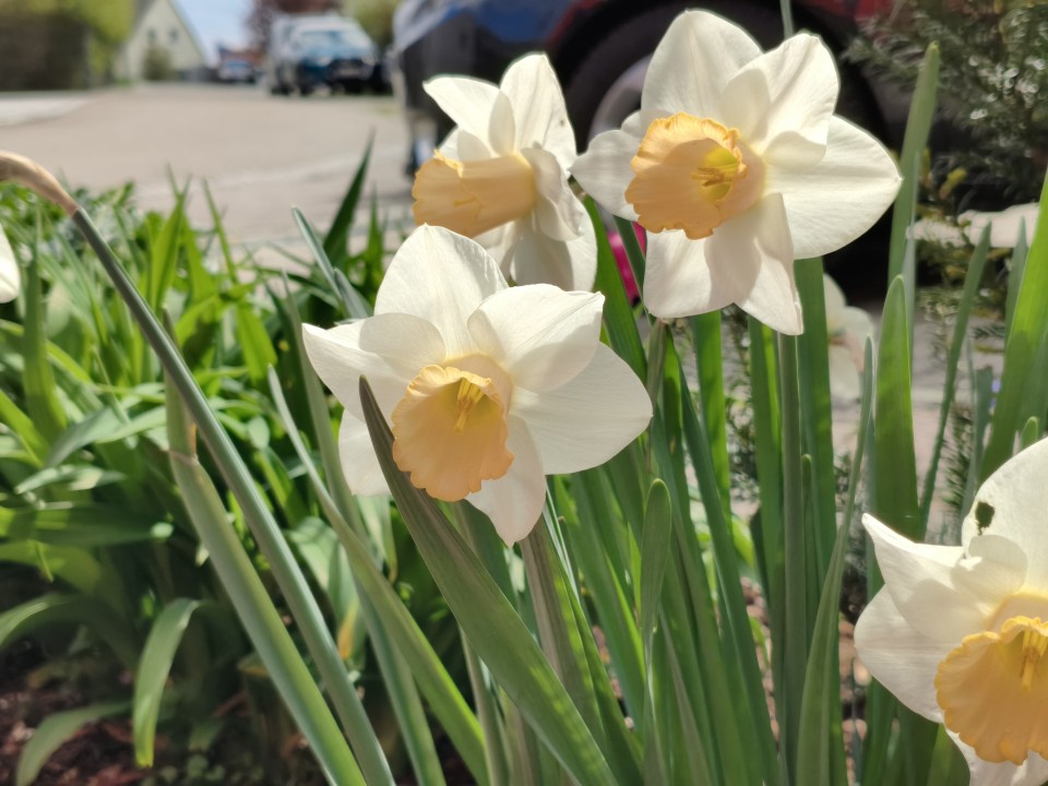 Poco X8 Pro Kamera Haupt Digitalzoom