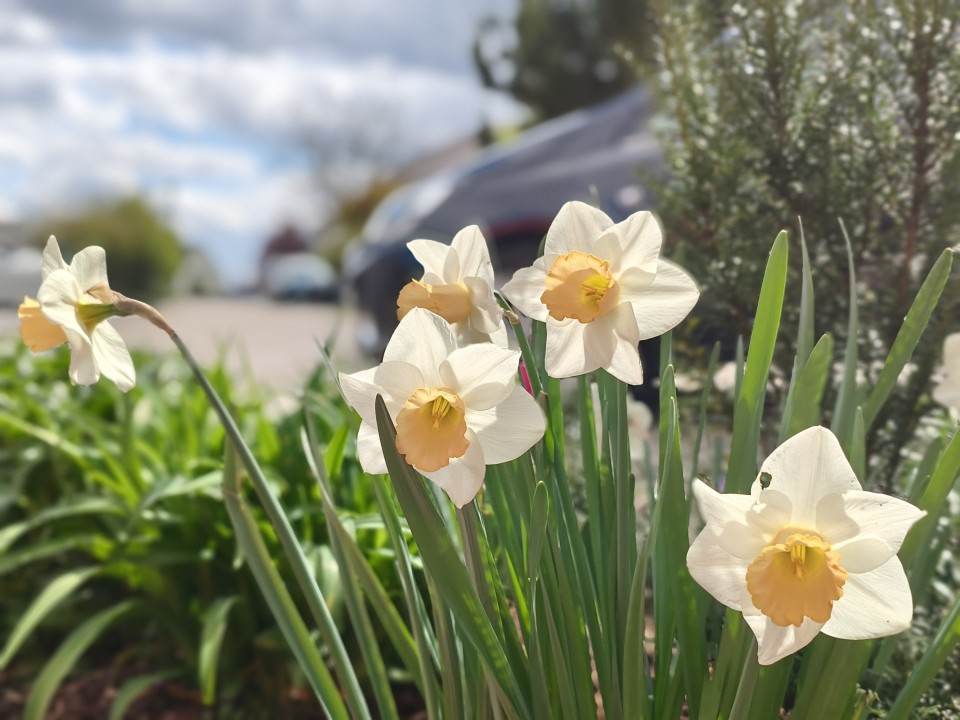 Poco X8 Pro Kamera Portrait