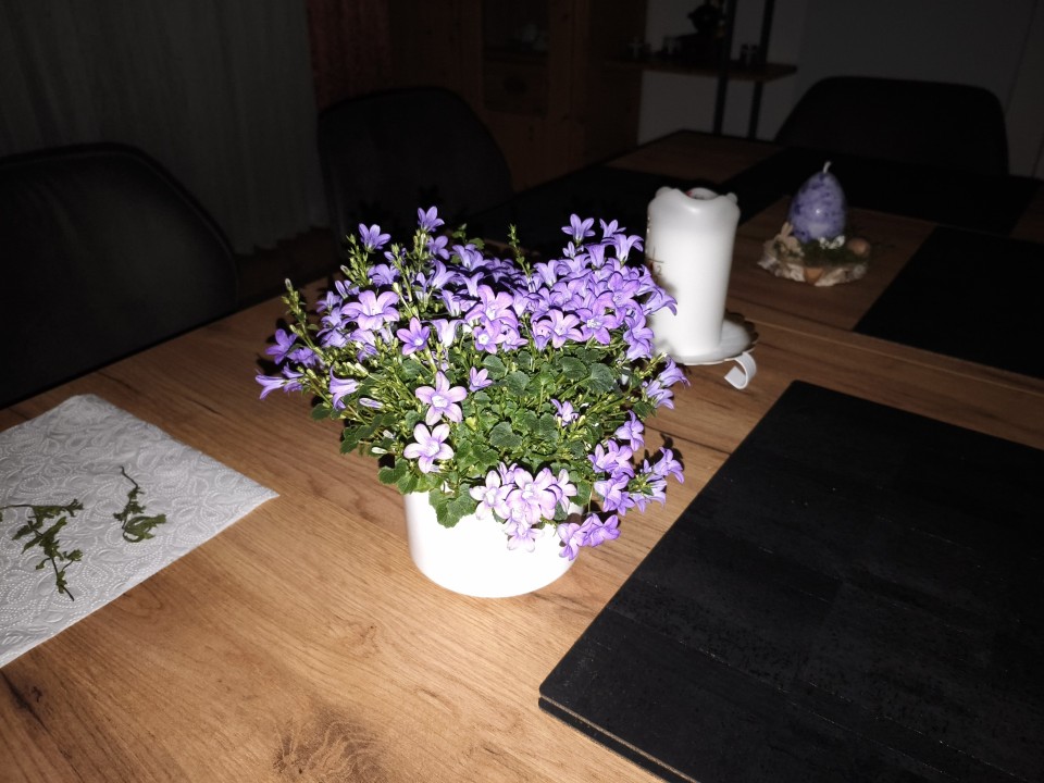 Poco X8 Pro Kamera Blitz