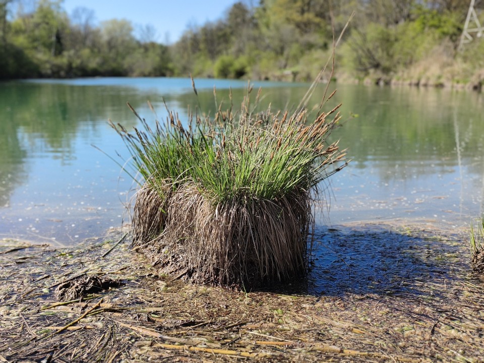 Poco X8 Pro Kamera Portrait