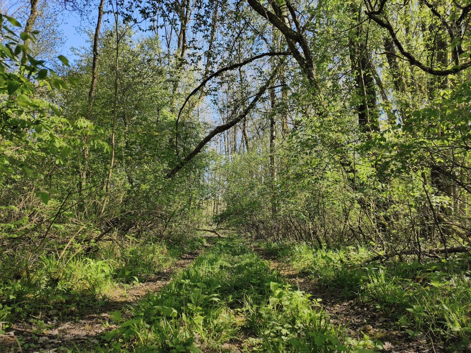 Poco X8 Pro Kamera Haupt Tag 12MP