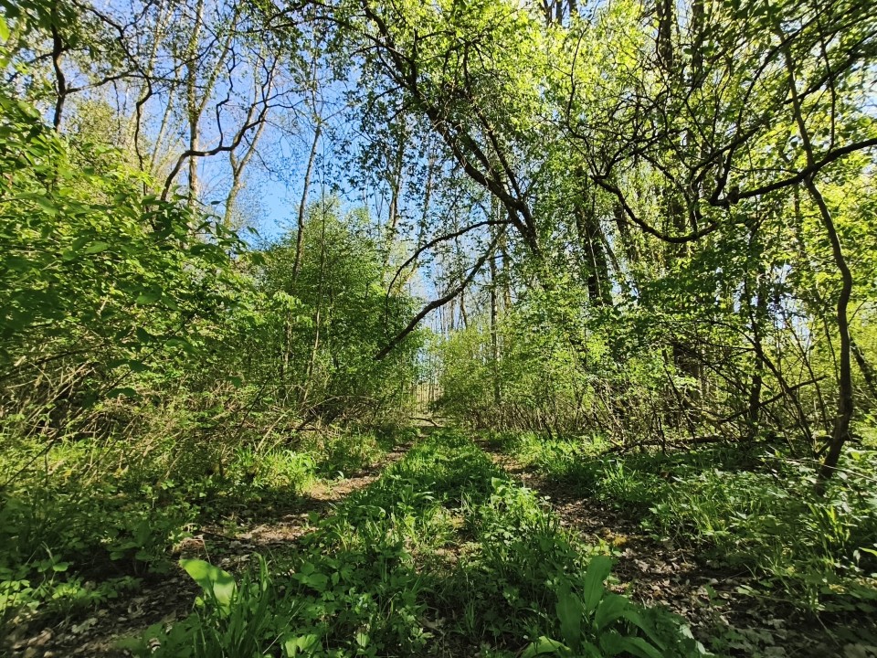 Poco X8 Pro Kamera Ultrawide Tag 8MP