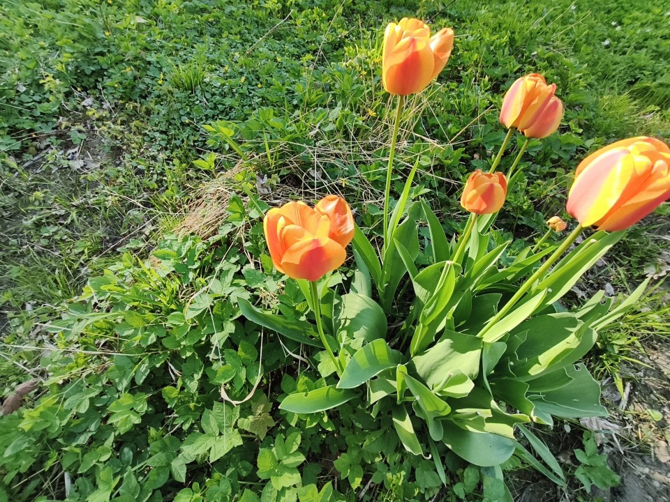 Poco X8 Pro Kamera Ultrawide Tag 8MP