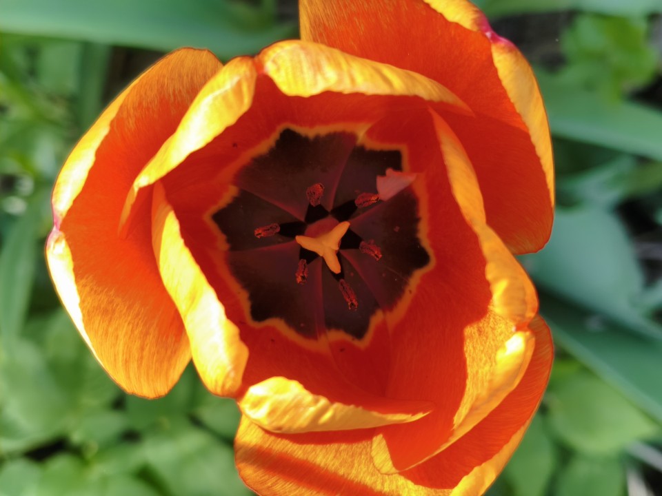 Poco X8 Pro Kamera Haupt Digitalzoom