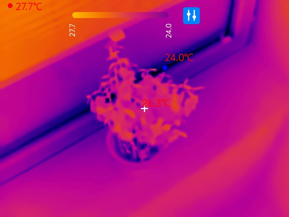 Thermal Master P3 Nachtaufnahmen