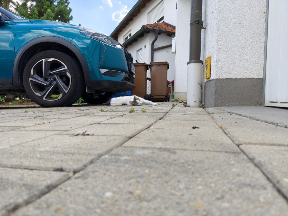 Xiaomi 17T Kamera Haupt Tag 12MP