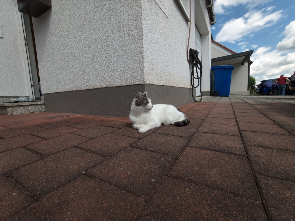 Vivo X Fold 6 Kamera Test Ultrawide Tag 12MP