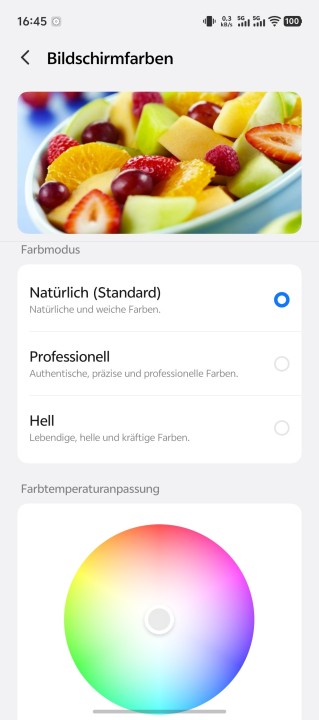 Vivo X Fold 6 Display Einstellungen